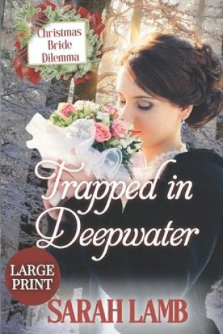 Buch Trapped in Deepwater Sarah Lamb