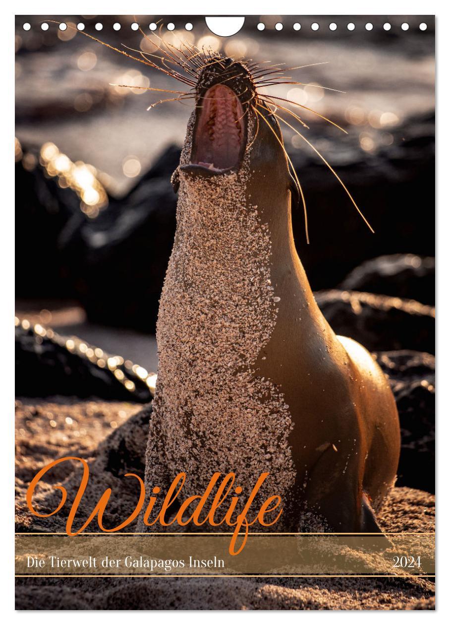 Naptár/Határidőnapló Wildlife - Die Tierwelt der Galapagos Inseln (Wandkalender 2024 DIN A4 hoch), CALVENDO Monatskalender 