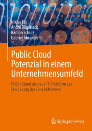 Knjiga Public Cloud Potenzial in einem Unternehmensumfeld André Bögelsack