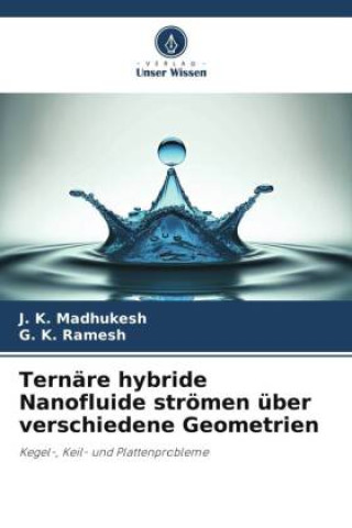 Book Ternäre hybride Nanofluide strömen über verschiedene Geometrien G. K. Ramesh