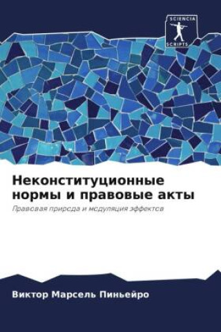 Buch Nekonstitucionnye normy i prawowye akty Viktor Marsel' Pin'ejro