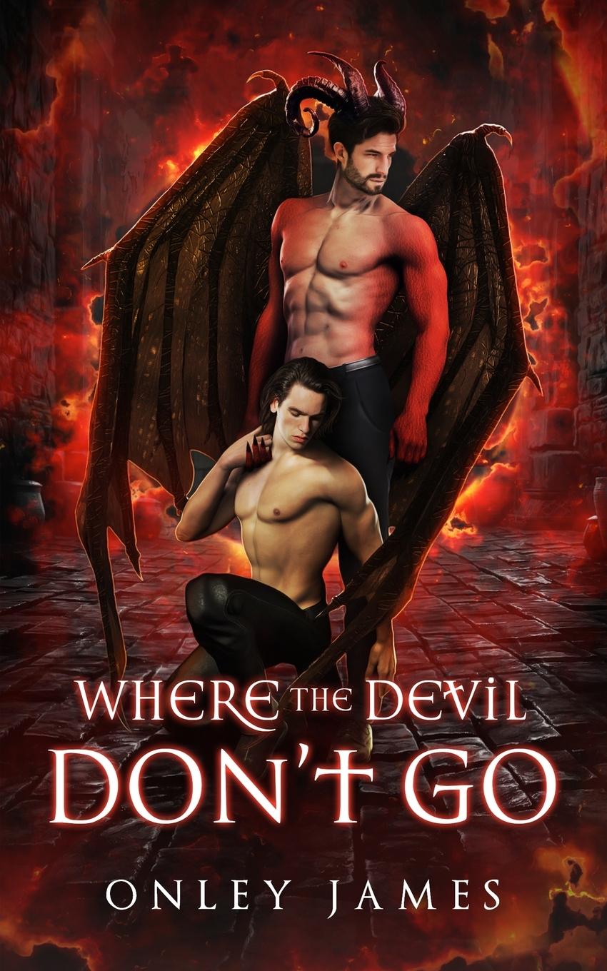 Knjiga Where the Devil Don't Go Onley James