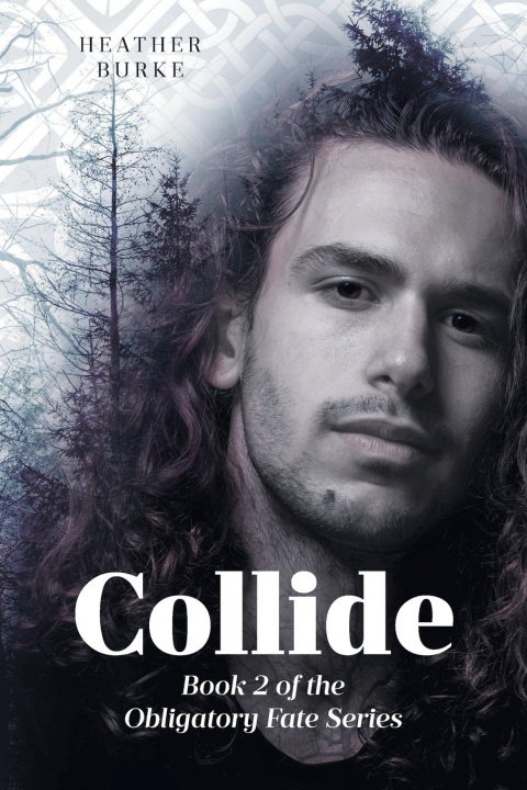 Knjiga Collide Heather Burke