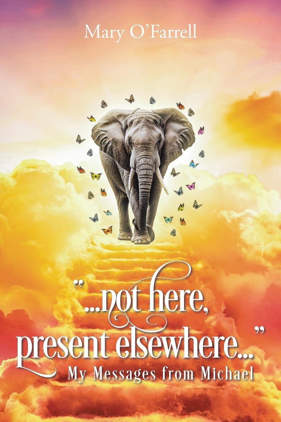 Kniha Not Here, Present Elsewhere Mary O'Farrell