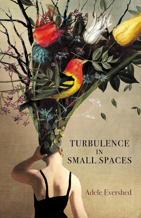 Книга Turbulence in Small Spaces Adele Evershed