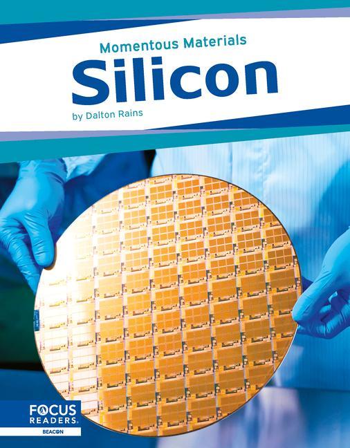 Knjiga Silicon Dalton Rains