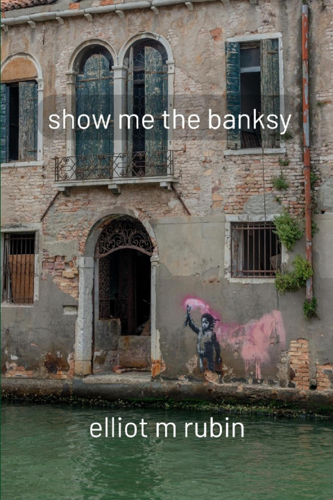 Kniha show me the banksy 
