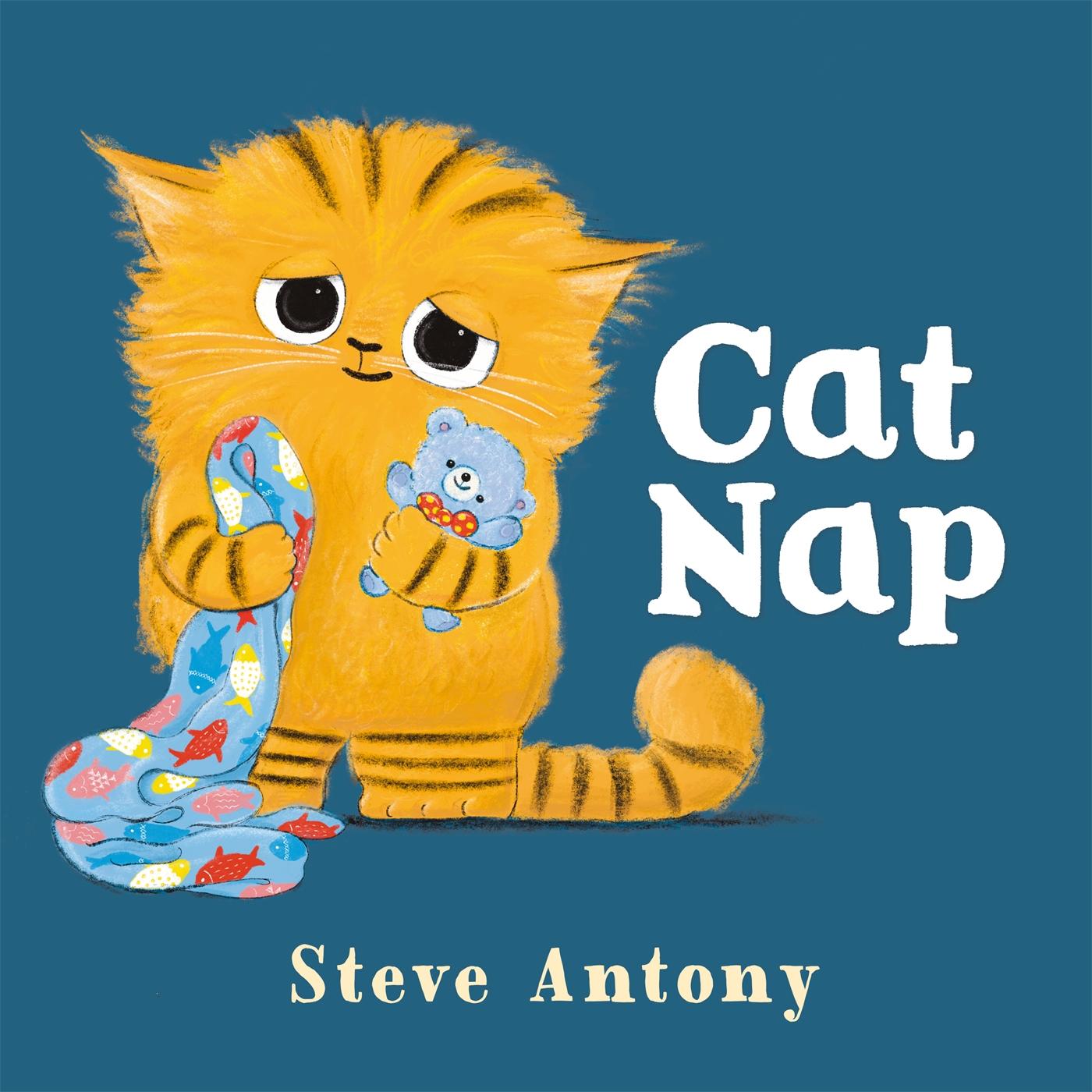Kniha Cat Nap Steve Antony
