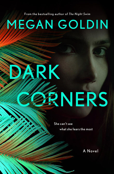 Kniha Dark Corners Megan Goldin