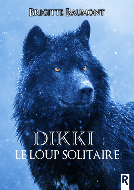 Kniha Dikki, le loup solitaire Baumont