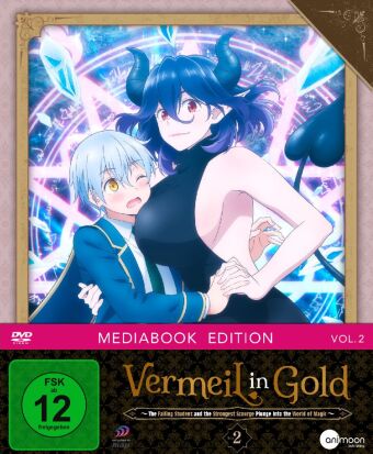 Video Vermeil in Gold Vol.2 (DVD) 