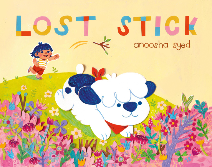 Buch Lost Stick Anoosha Syed