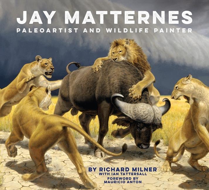 Könyv Jay Matternes: Paleoartist and Wildlife Painter Mauricio Anton