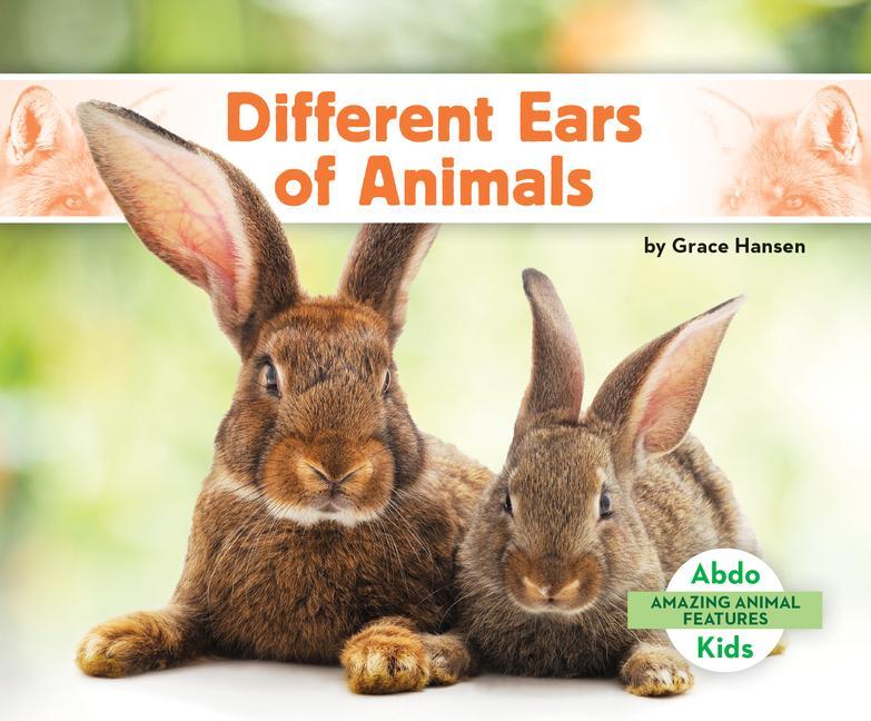 Carte Different Ears of Animals 
