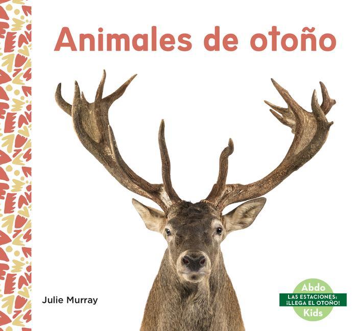 Buch Animales de Oto?o Julie Murray