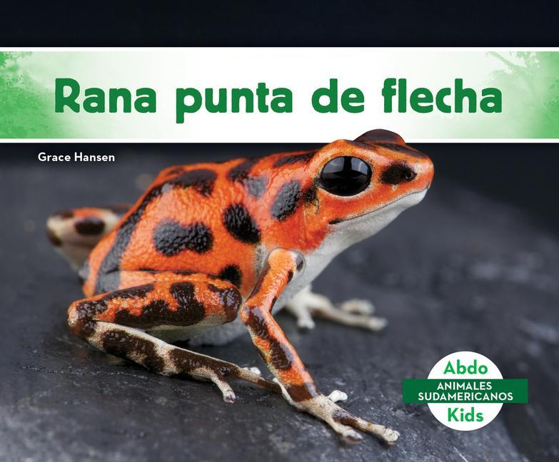 Kniha Rana Punta de Flecha 