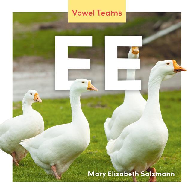 Buch Ee Mary Elizabeth Salzmann
