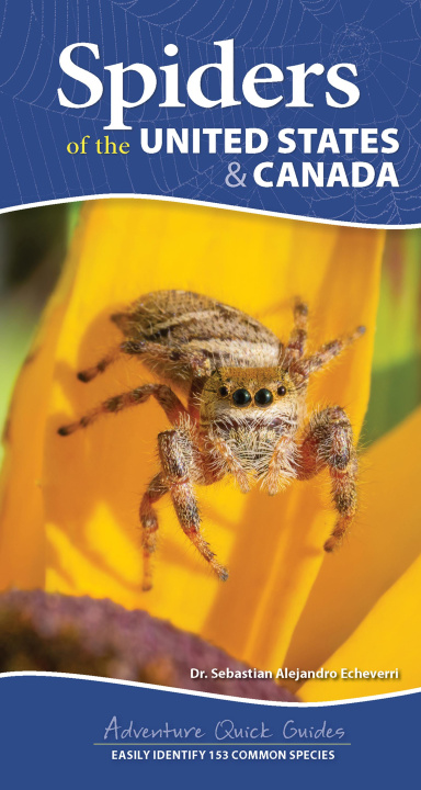 Kniha Spiders of the United States: A Guide to Common Species 