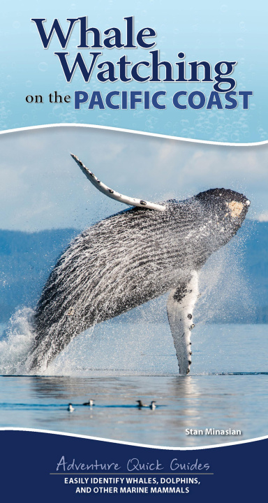 Kniha Whale Watching on the Pacific Coast: Easily Identify Whales, Dolphins, and Other Marine Mammals 