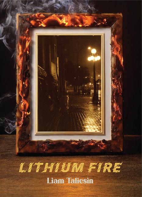 Knjiga Lithium Fire Liam Taliesin