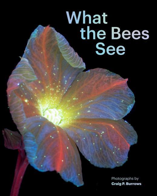 Kniha What the Bees See: A Honeybee's Eye View of the World 