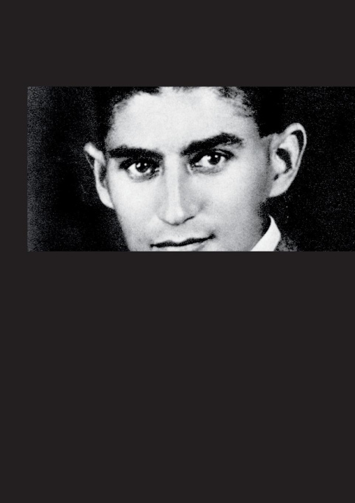 Book Franz Kafka Gesammelte Werke mit Nachlaß Sara Josef