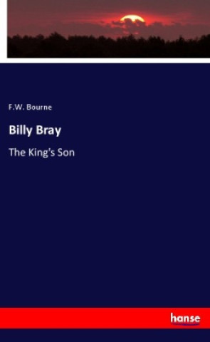 Boek Billy Bray F.W. Bourne