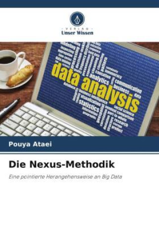 Knjiga Die Nexus-Methodik Pouya Ataei