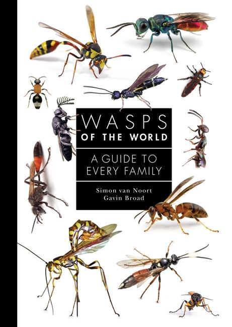 Könyv Wasps of the World – A Guide to Every Family Simon Van Noort
