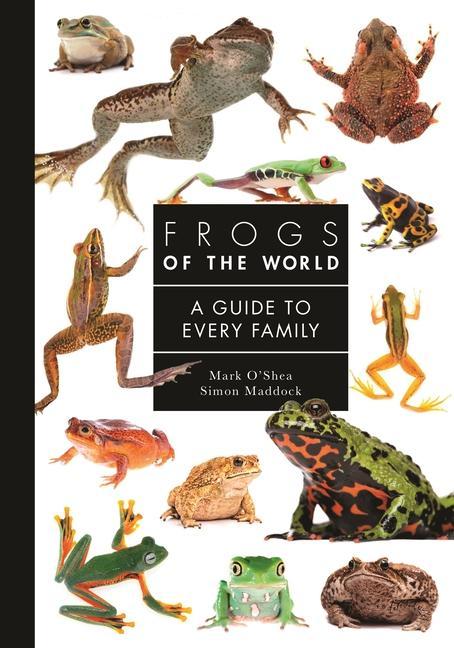 Książka Frogs of the World – A Guide to Every Family Mark O′shea