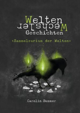 Book Sammelsurium der Welten Carolin Summer