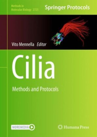 Buch Cilia Vito Mennella