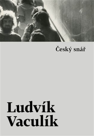Книга Český snář Ludvík Vaculík