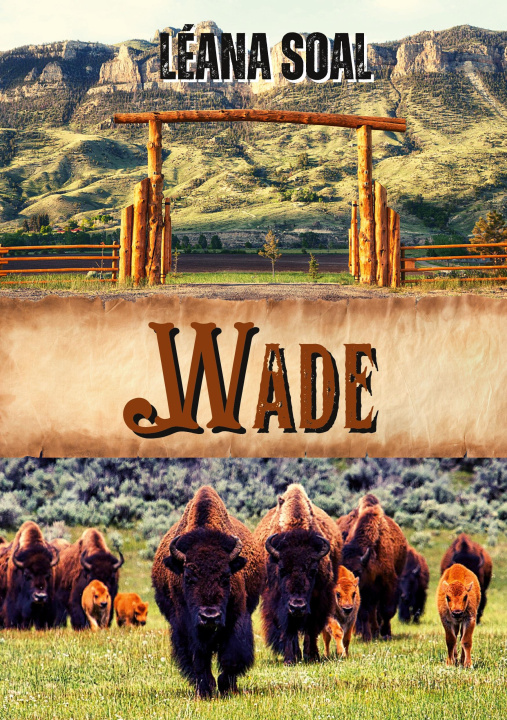 Knjiga Wade Soal