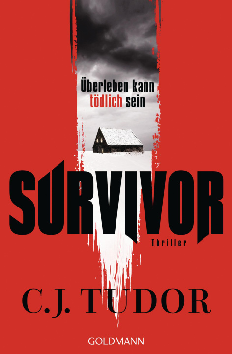 Kniha Survivor Marcus Ingendaay