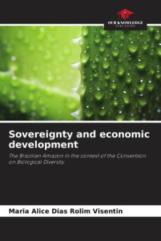 Knjiga Sovereignty and economic development Maria Alice Dias Rolim Visentin