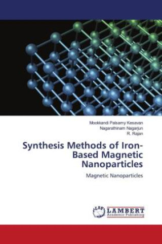 Buch Synthesis Methods of Iron-Based Magnetic Nanoparticles Nagarathinam Nagarjun