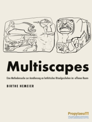 Knjiga Multiscapes Birthe Hemeier