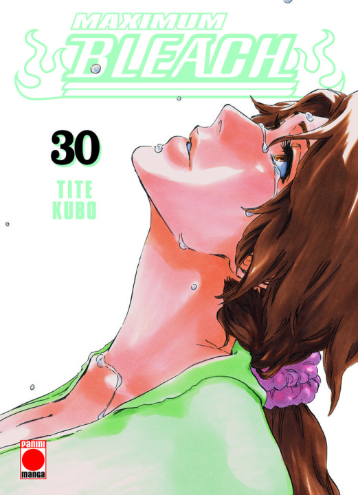 Knjiga MAXIMUM BLEACH 30 Tite Kubo