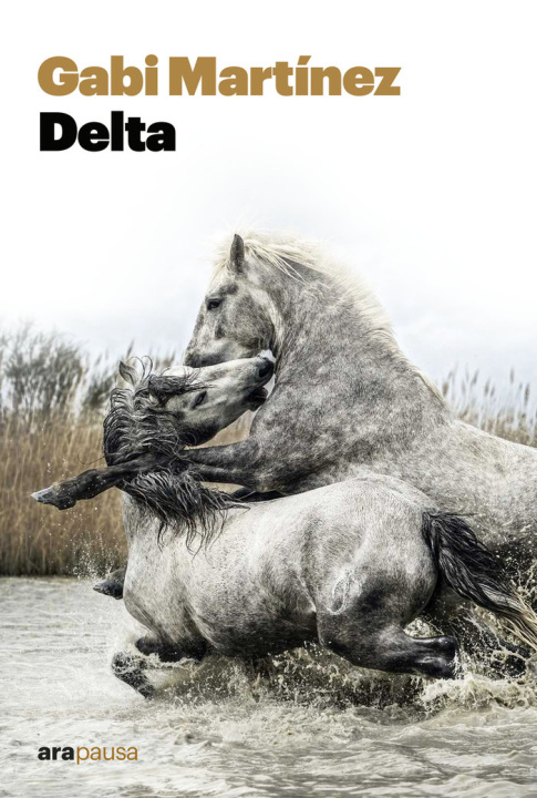 Buch DELTA MARTINEZ CENDRERO