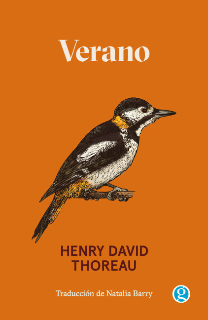 Książka VERANO THOREAU