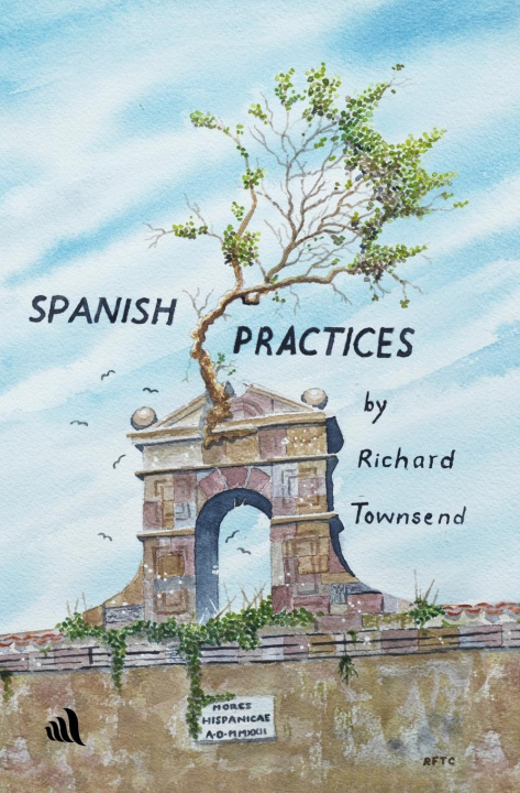 Book Spanish Practices Richard Townsend