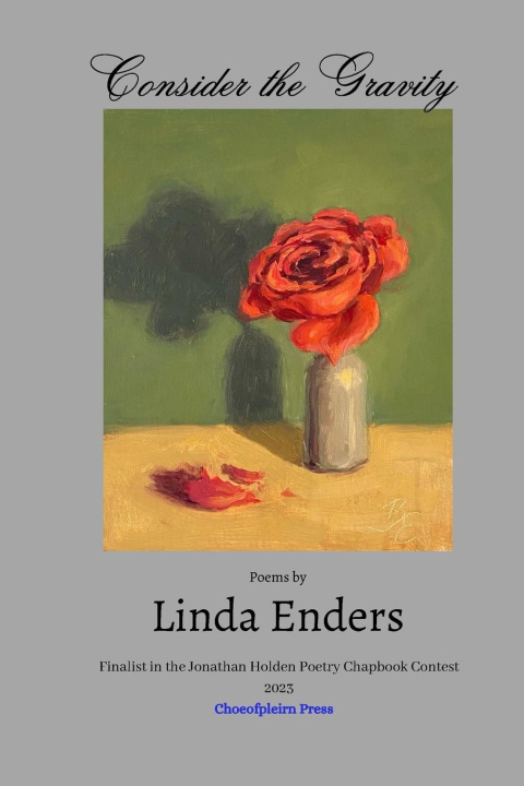 Kniha Consider the Gravity Linda Enders