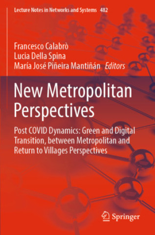 Книга New Metropolitan Perspectives, 3 Teile Francesco Calabrò
