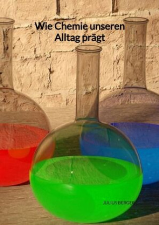 Kniha Wie Chemie unseren Alltag prägt Julius Berger