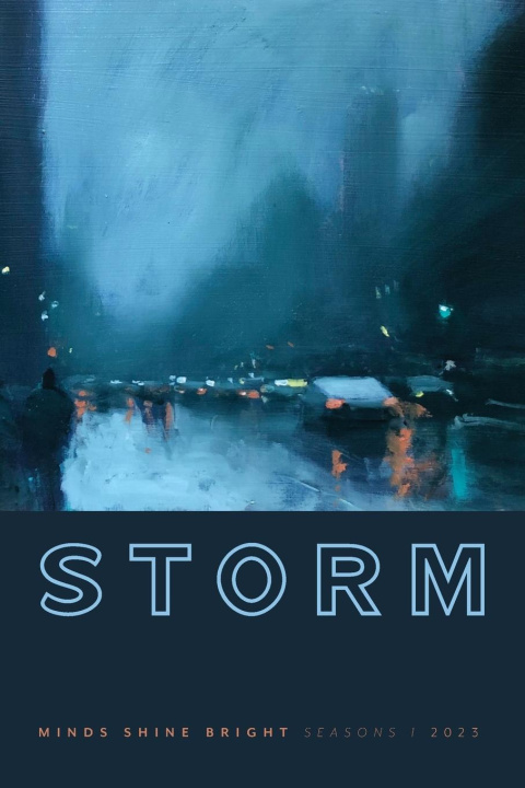 Knjiga Storm Amanda G Scotney
