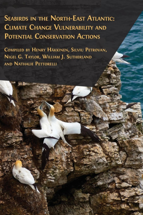 Livre Seabirds in the North-East Atlantic Silviu Petrovan