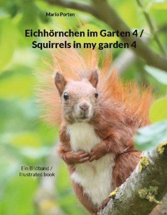 Kniha Eichhörnchen im Garten 4 / Squirrels in my garden 4 