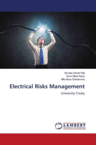 Knjiga Electrical Risks Management Sorin Mihai Radu