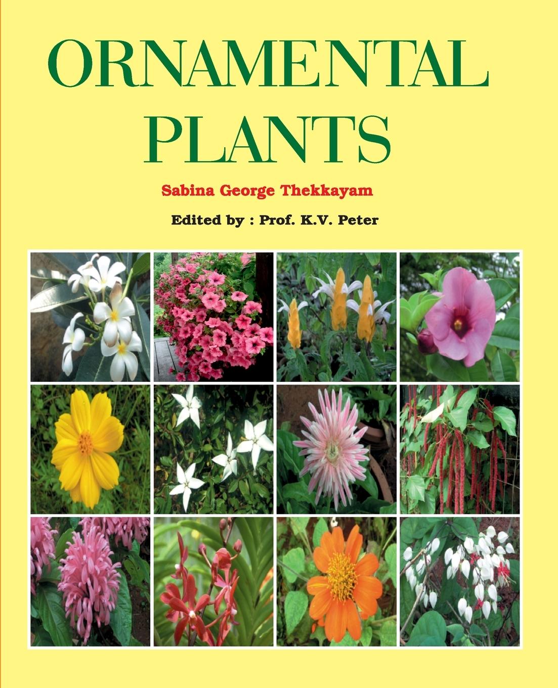 Carte Ornamental Plants 